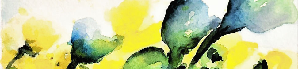 aquarell_provence_yello (2)_edited.jpg