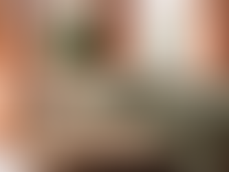 Professional Elderly Home Services Near You