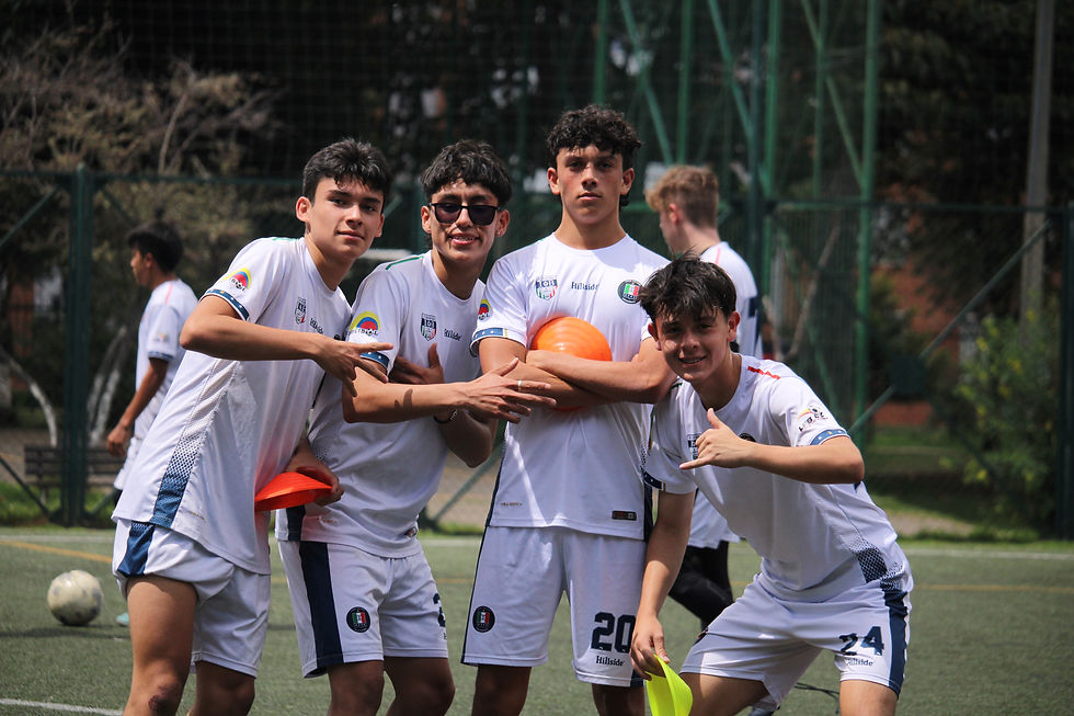 SINTÉTICA CEDRITOS