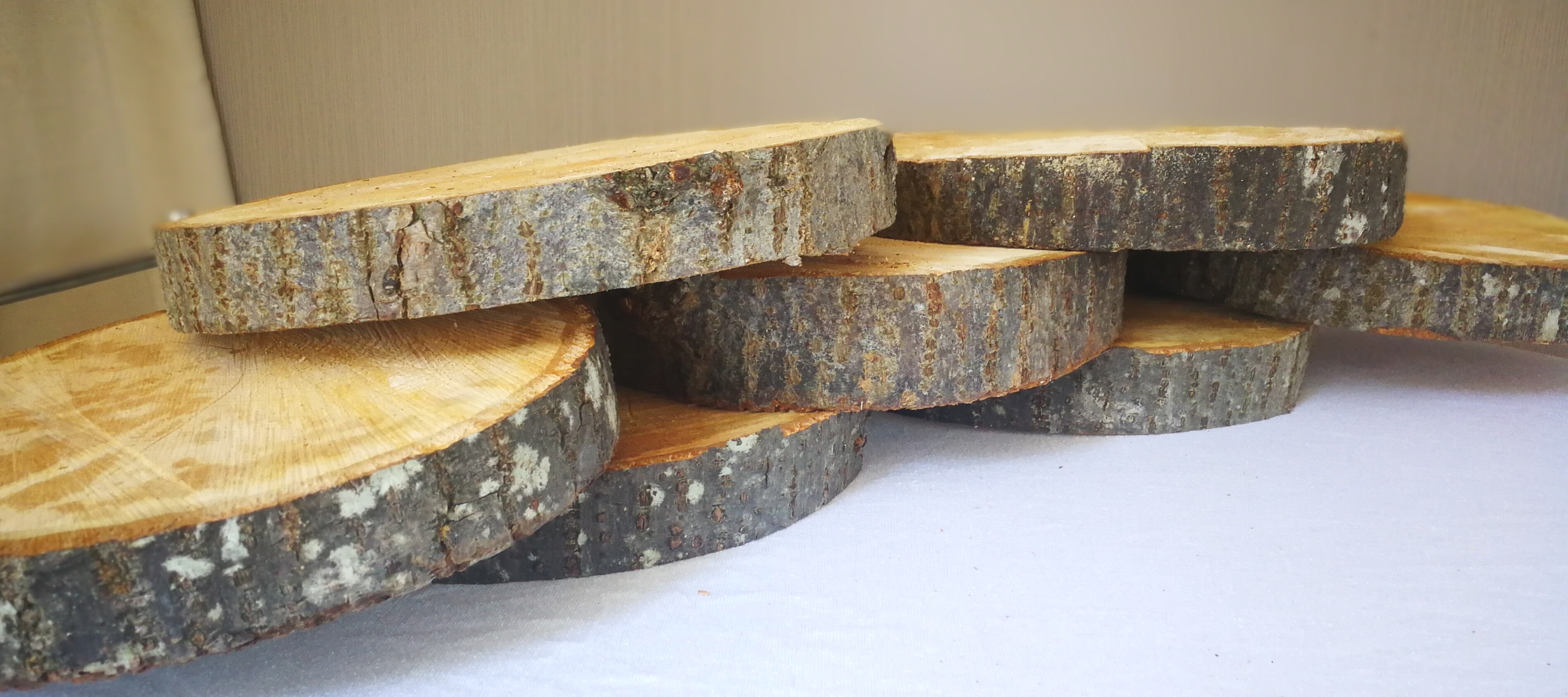 Log slices