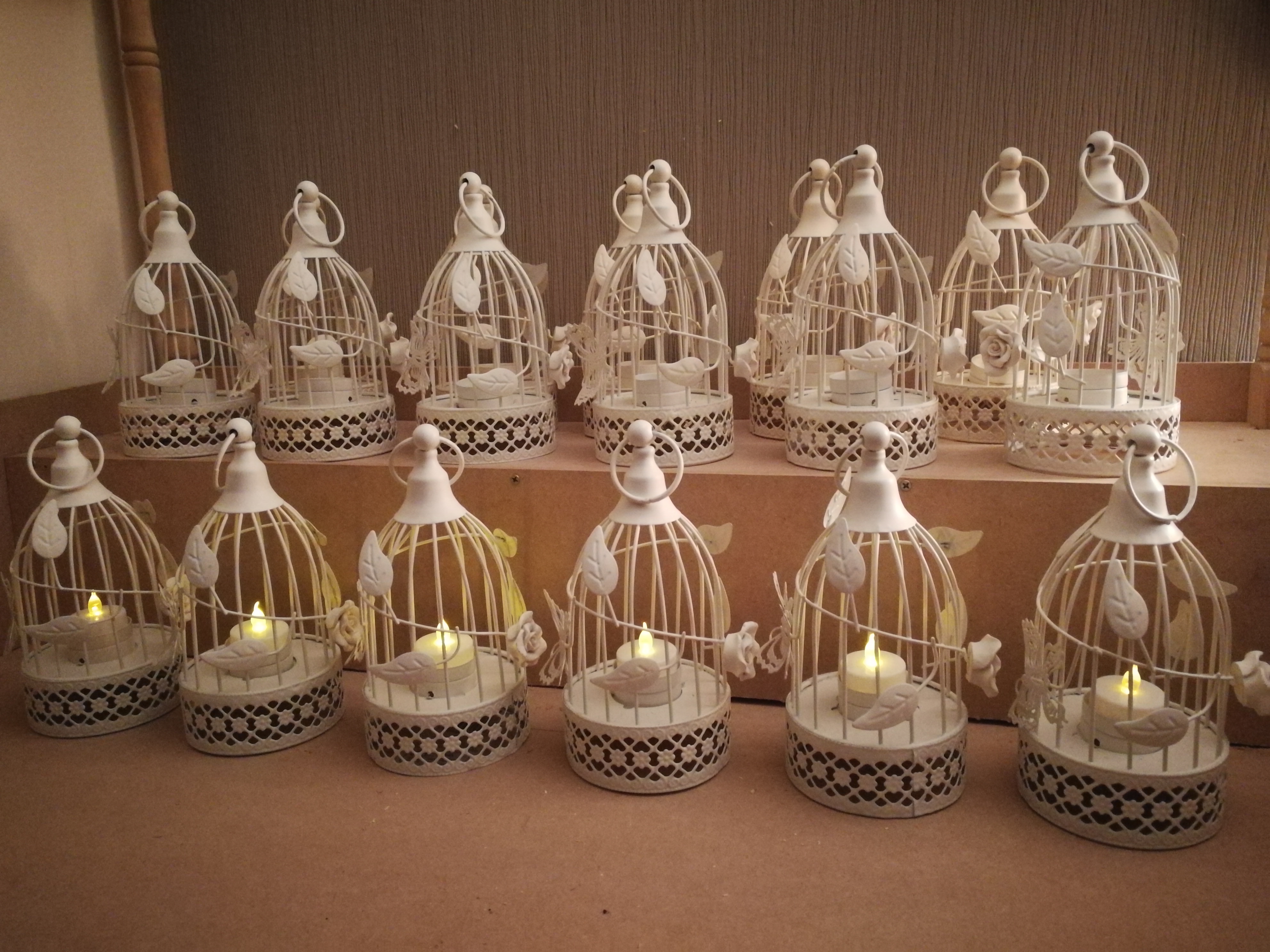 Bird Cages