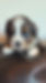 Olive head shot 20240127_125252.jpg
