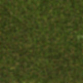 Thumbnail: Forest 20