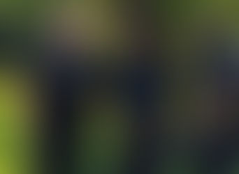 Huntsville Man Who Mowed Lawns In All 50 States Is Doing It Again-- And Invites Police To Join Him