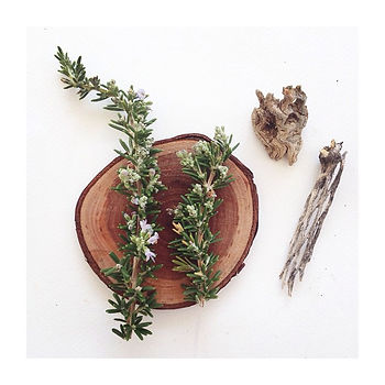 Instagram - ROSEMARY.jpg