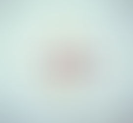 Neighborhood Flower Medley