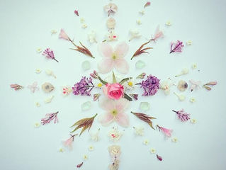 Neighborhood Flower Medley