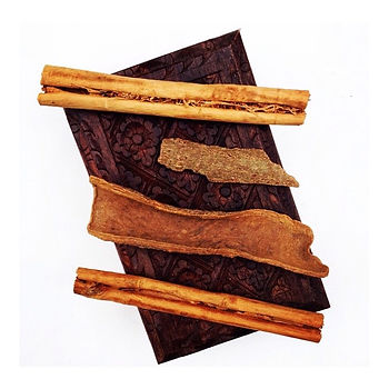 Instagram - •CINNAMON• is a sacred plant to Dionysus, the Greek god of ecstasy-