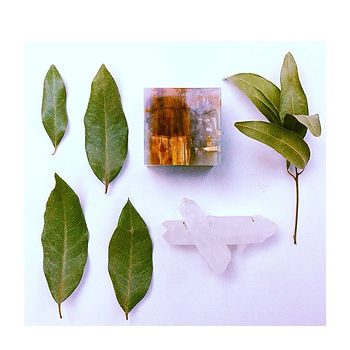 Instagram - True BAY LEAVES come from the Bay Laurel.jpg