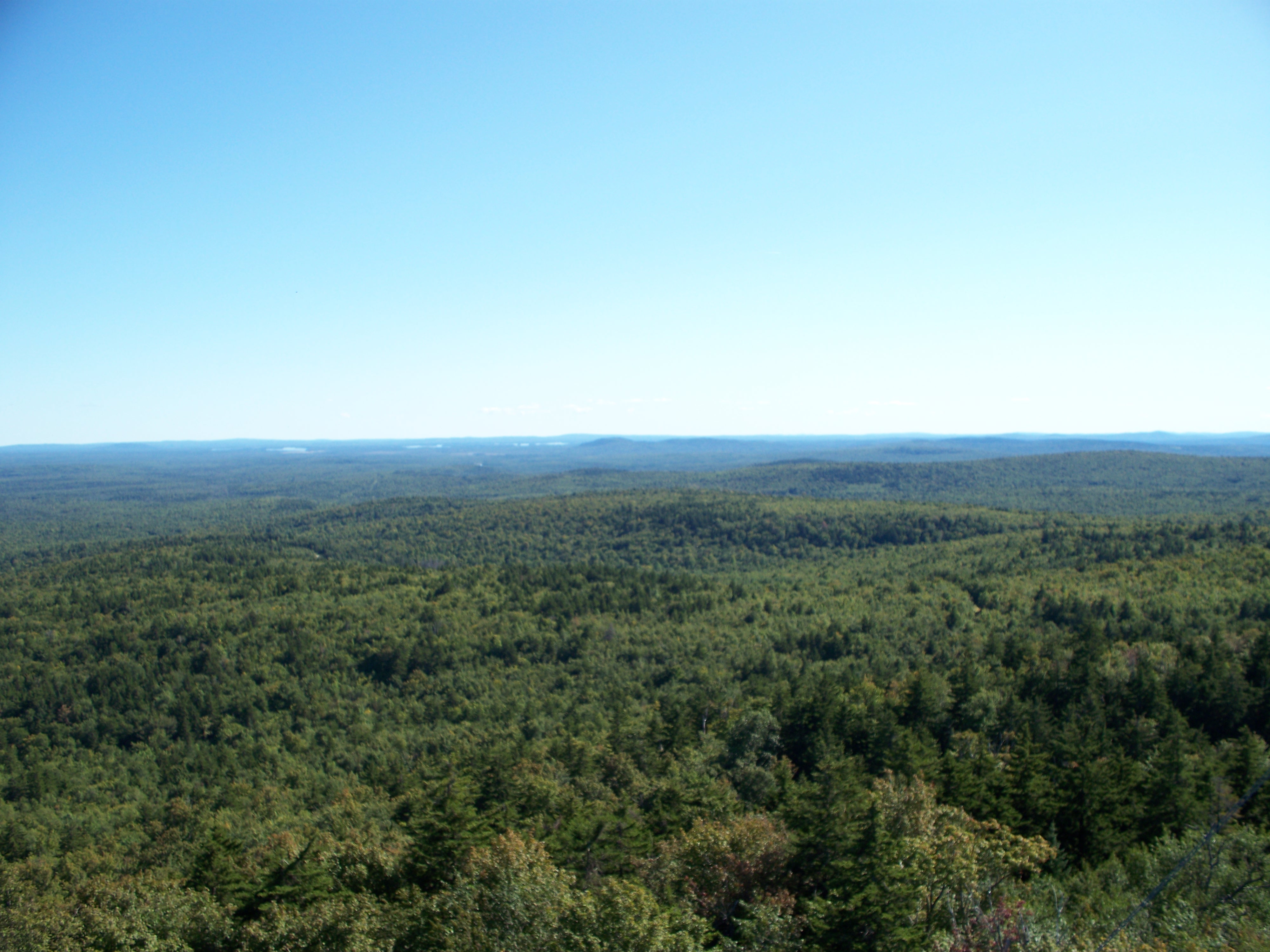 View