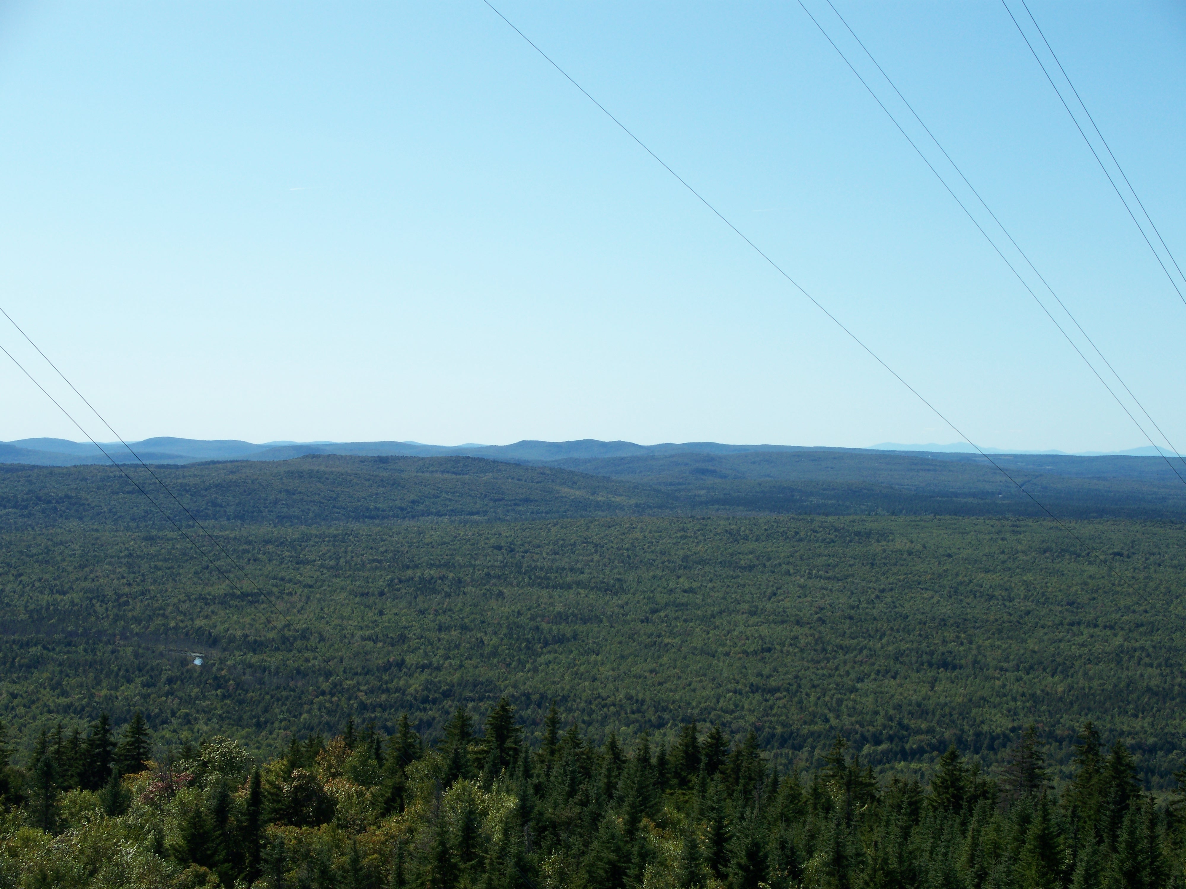 View