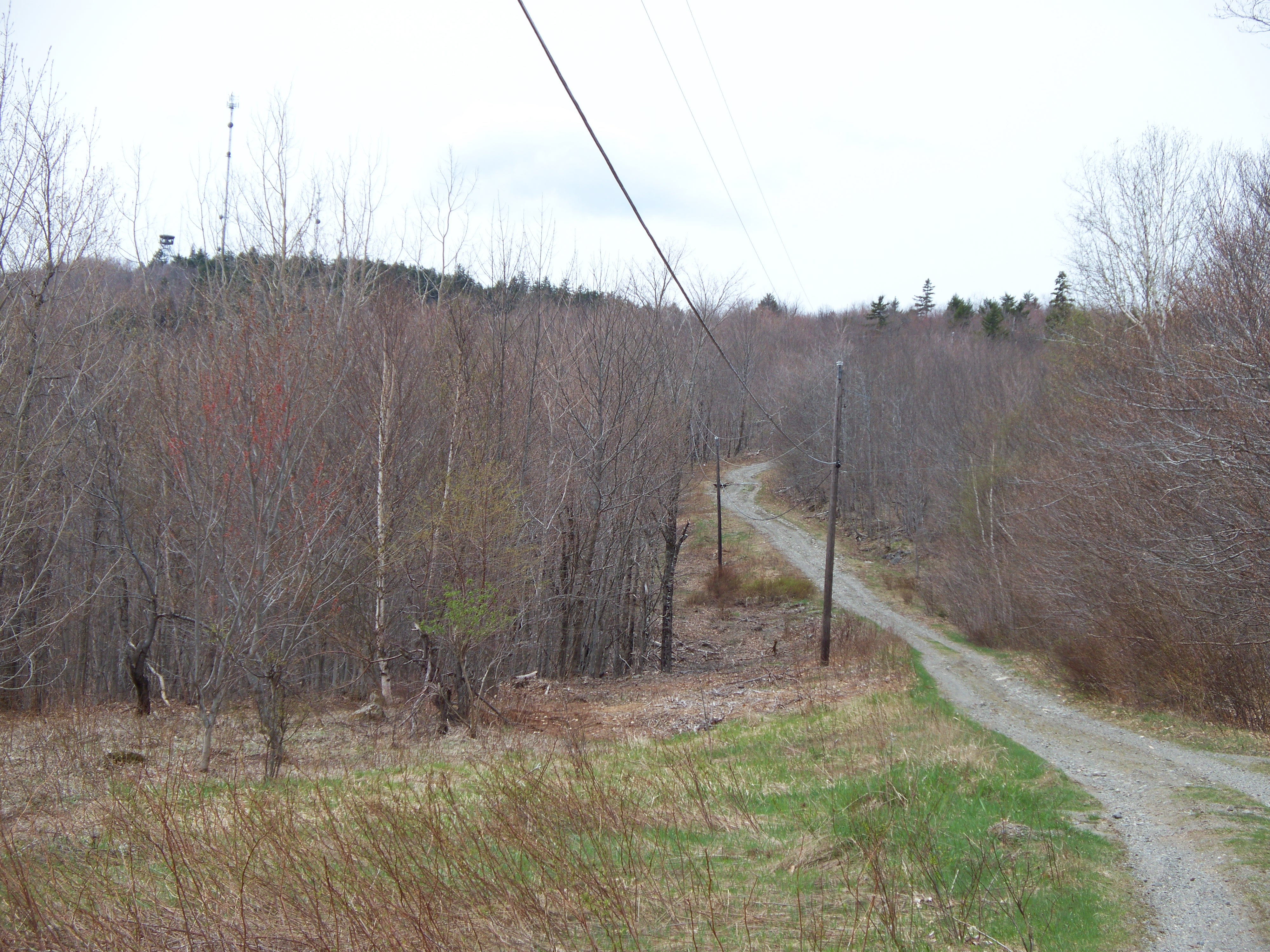 Tower Road