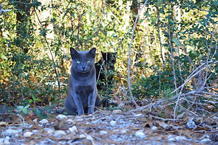 DSC_1276.JPG