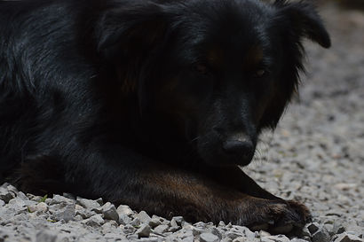DSC_1759.JPG