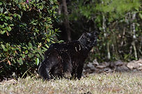 DSC_1300.JPG