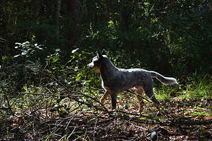 DSC_2108.JPG