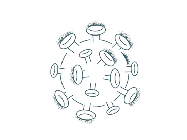 vector-creator (4).png