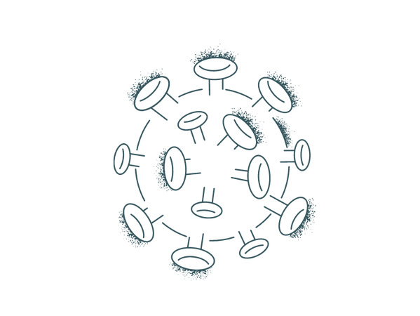 vector-creator (4).png