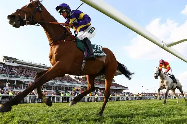 Two jockeys race on horses at a vibrant track, crowd cheering. Jockey in purple and yellow ahead on brown horse; another follows on white. Best Sporting Events in April
