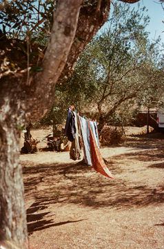 Outdoor yoga session overlooking Andalusian hills, Sunrise yoga in open air shala near Seville, Group yoga practice at rural Spanish retreat, Yoga flow in circular shala surrounded by nature, Morning yoga with panoramic mountain views, Trail running through chestnut forest in Andalusia, Group trail run on rolling hills near Seville, Social trail running on quiet Spanish countryside paths, Runners exploring mountain trails in southern Spain, Guided trail running retreat in rural Andalusia, Run and yoga retreat in Andalusian countryside, Trail running and yoga retreat near Seville, Yoga and trail running in peaceful Spanish mountains, Active wellness retreat combining yoga and trail running, Small group run and yoga retreat in southern Spain