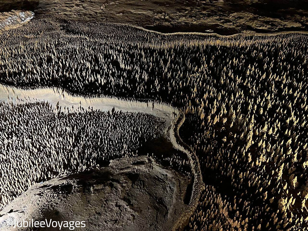 Grotte Trabuc salle de 100 000 soldats