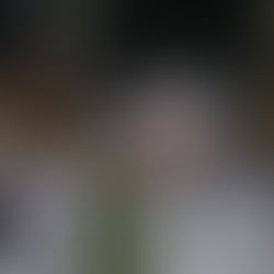 Vasco aplica mais uma goleada e fica próximo da chave de grupos.