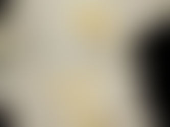 Ms/Mrs Earth Australia Pageant 2016