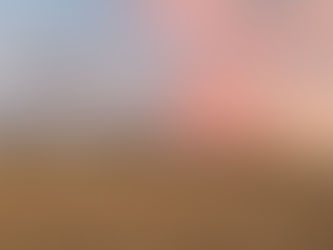 The Best Things To Eat & Do In Los Angeles