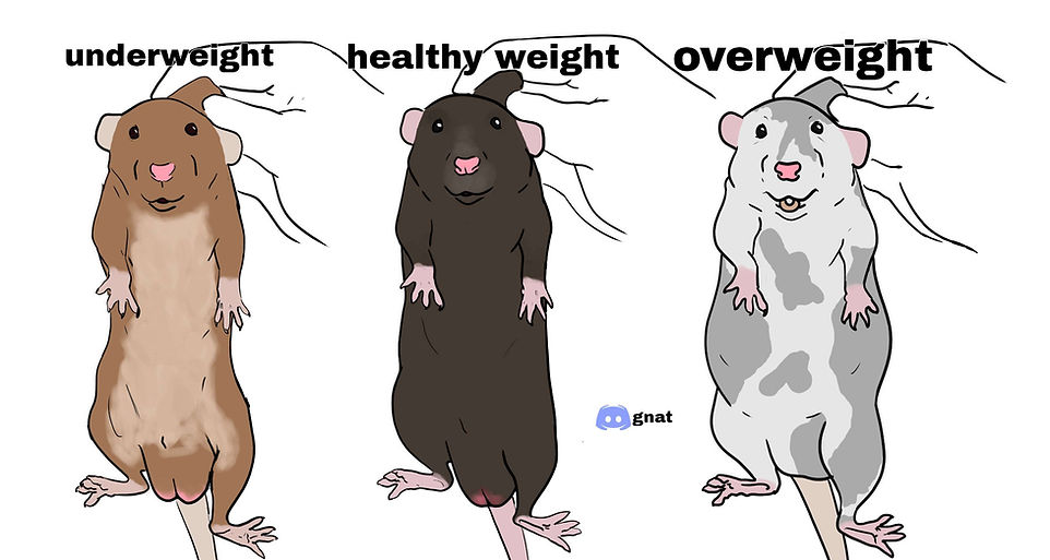 body_condition_scoring.jpg