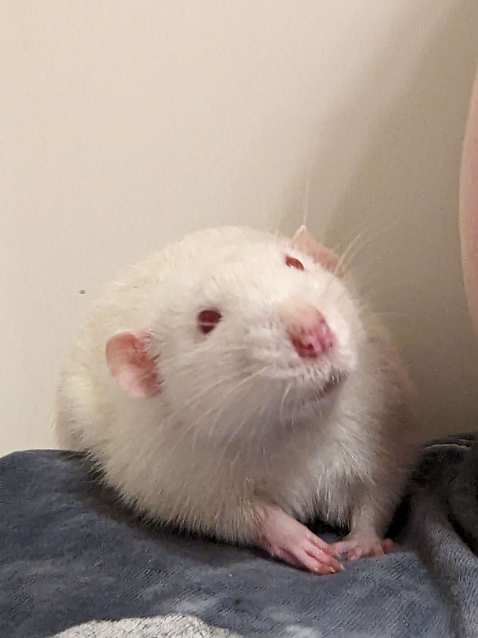 Mild Residual Head Tilt