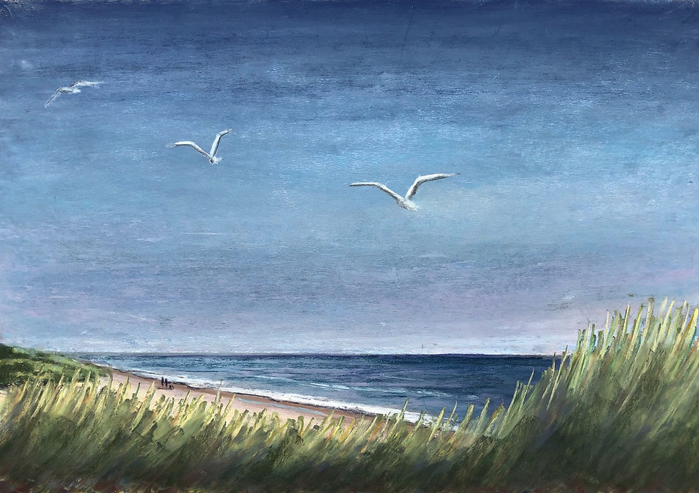 Thumbnail: Following the Seagulls 