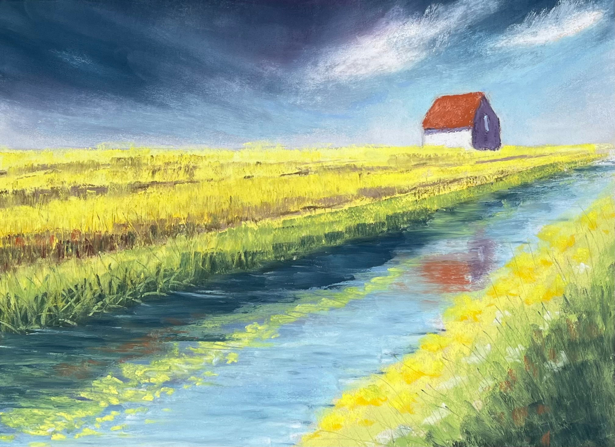 Rapeseed Reflections