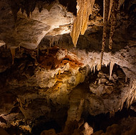 IMG_9520 edited.jpg
