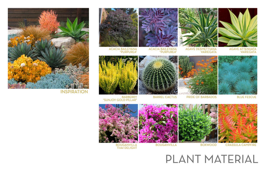 PALM SPRINGS RETREAT