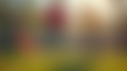 Maximize Playground Safety with CPSI Certified Inspector