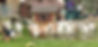 IMG_4404.jpeg