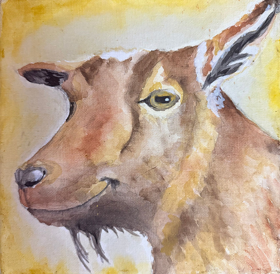 Claire in the Sunshine