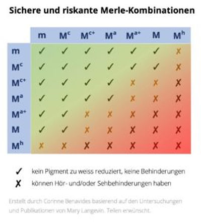sichere-und-unsichere-merle-kombinationen-272x300.jpg