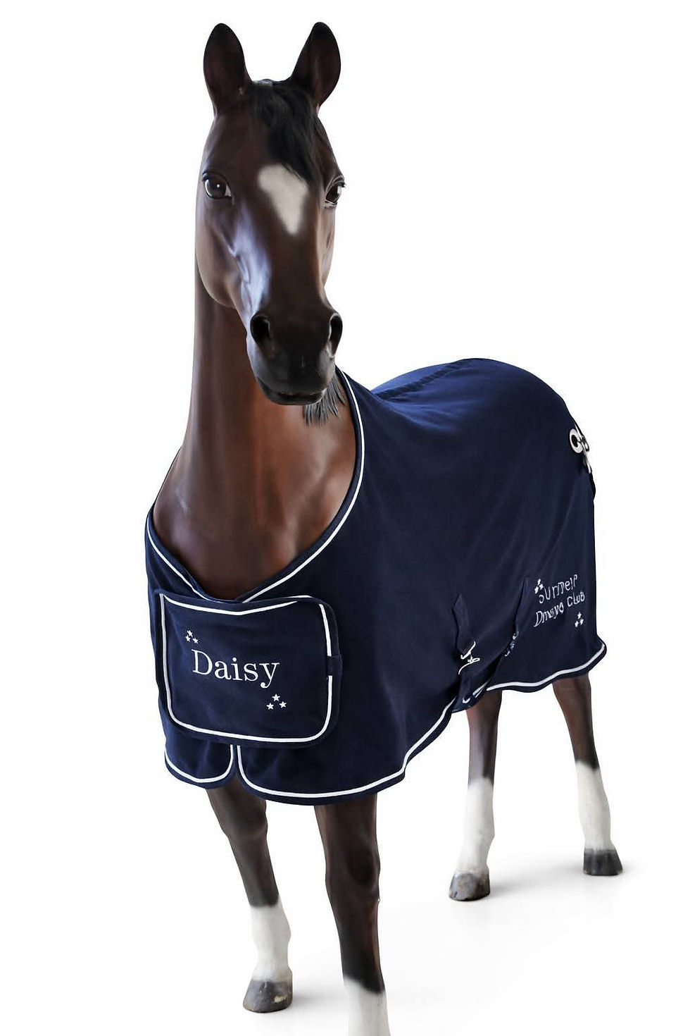Thumbnail: Embroidered Luxury Rugs OWN LOGO 1 side + front embroidery