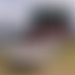 Here come the chefs – Introducing the Alfresco Diner