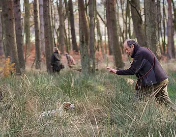 Kirkbourne Spaniels traning Gun dogs