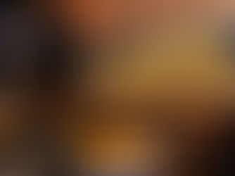 Brazilian restaurant Bossa – Review