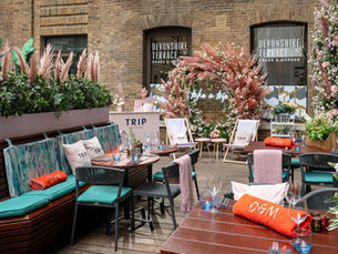 Devonshire Terrace teams up with premium CBD brand TRIP