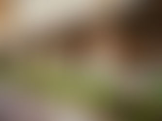 Piccolino: Destination Party Dining in the West End – Review