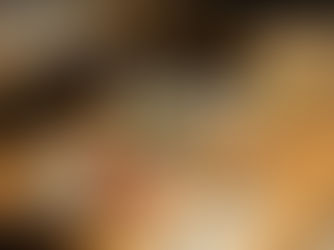 Humble Grape offers three sustainable sharing plates for £30 – Review