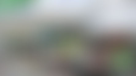 POL YORKSHIRE - ASDA