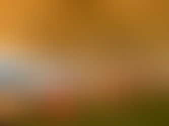 Get your Christmas Boules on the South Bank