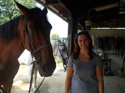 Centro Equestre Tre Laghi