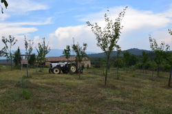 Agricampeggio Madonna di Pogi