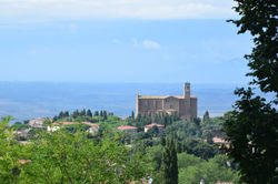 Volterra